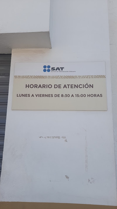 delicias
