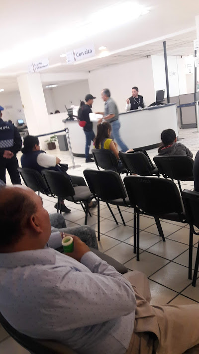 naucalpan-de-juarez-alce-blanco